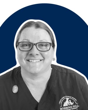 Lisa Field RVN BCCS Dip.AdvCanBhv